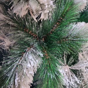 rama de arbol pino con nieve nevado