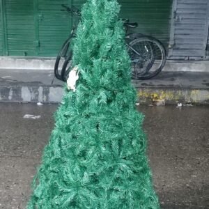 Arbol cipres super coposo de 1.8m