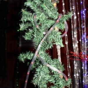 guirnalda semicoposo 2.7m